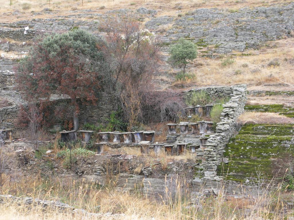 Luyego de Somoza Hosteria Camino מראה חיצוני תמונה