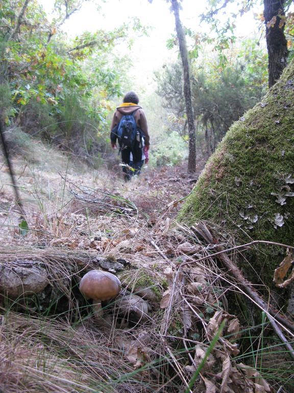 Luyego de Somoza Hosteria Camino מראה חיצוני תמונה